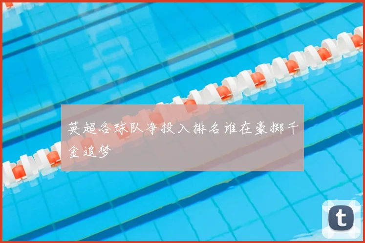 英超各球队净投入排名谁在豪掷千金追梦