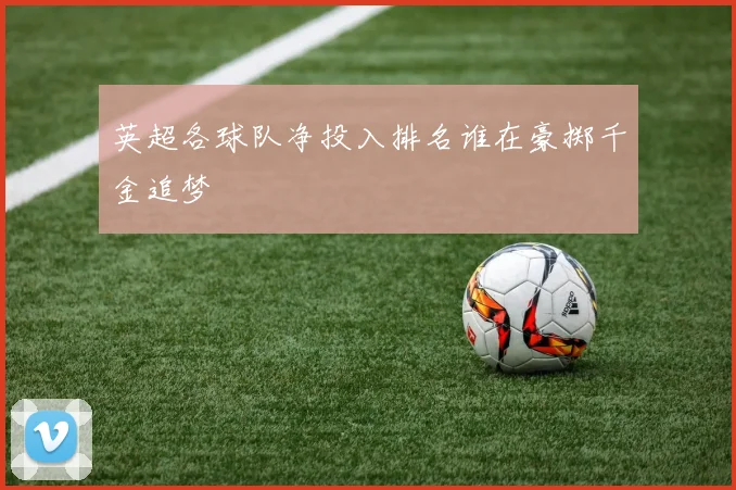 英超各球队净投入排名谁在豪掷千金追梦